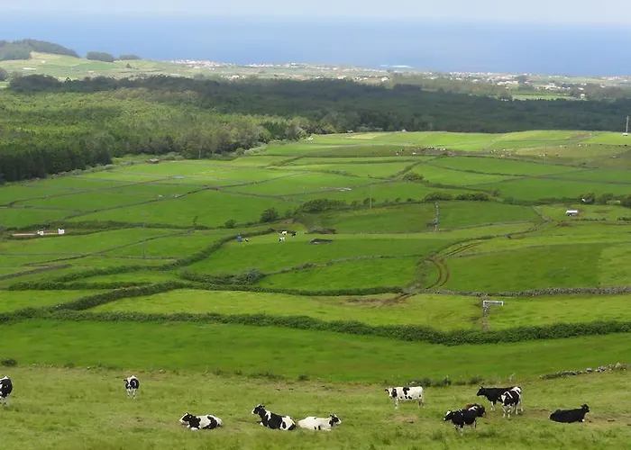 Dom wakacyjny Quinta Do Chico Feijao