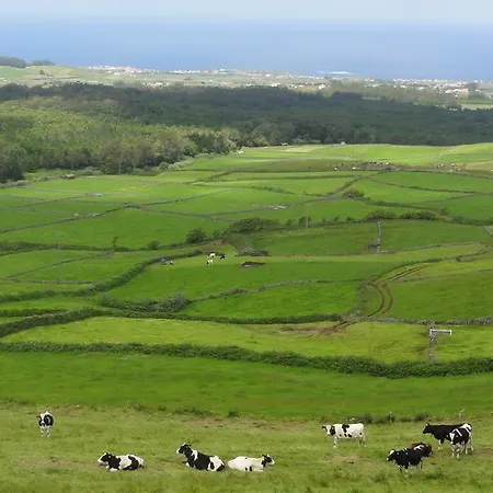 Дом отдыха Quinta Do Chico Feijao