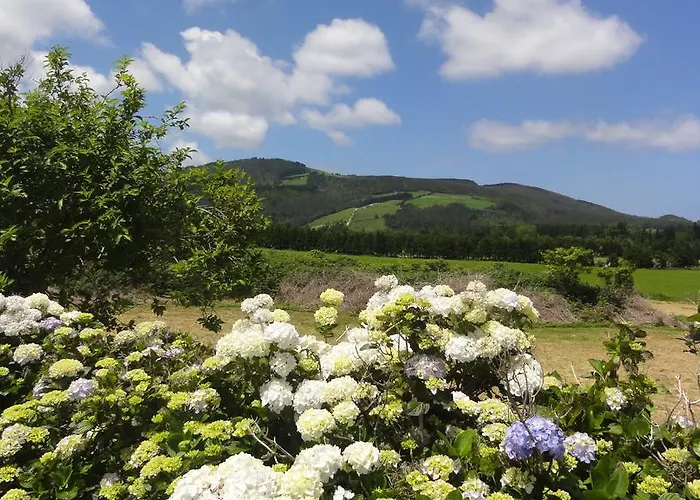 Holiday home Quinta Do Chico Feijao *